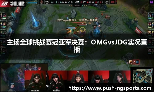主场全球挑战赛冠亚军决赛：OMGvsJDG实况直播